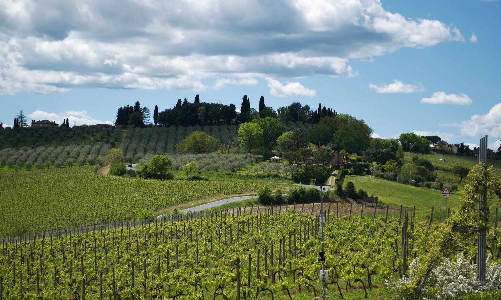 Villa Il Castagno Wine & Resort Siena Eksteriør bilde